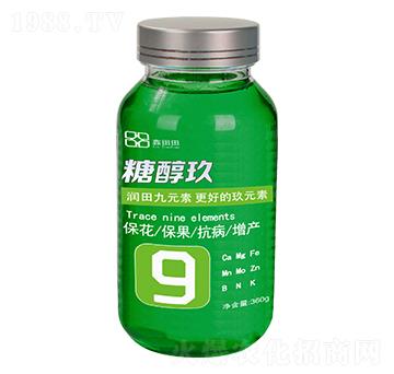 �Ǵ��� ������