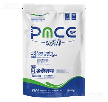 �����W����⛾� ����˹