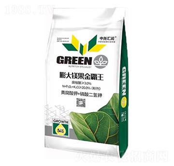 ����V������� �Ј�R��