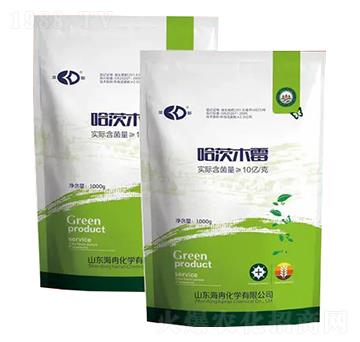 ΢������� ����ľù ��Ƚ���W(xu��)