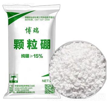 �w����ʩ��� �����r(n��ng)��