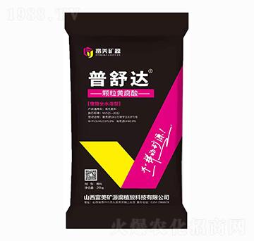 �����_ �w���S���� ����