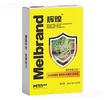 �x�� ������