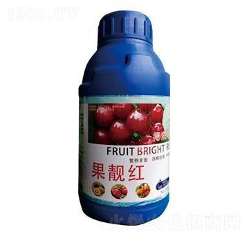 ���n�t��500g�� �Ý��S