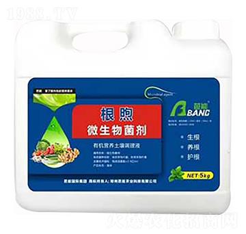 ΢������� ���� ����