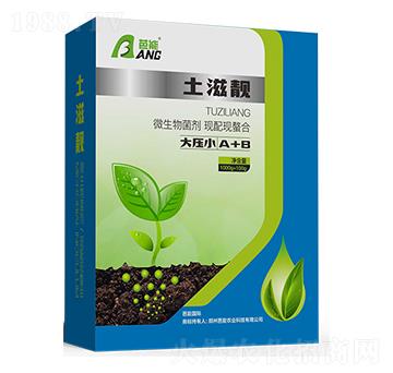 �����n ����