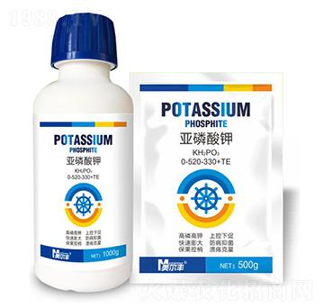 �������0-520-330+TE-�����S-���Π�