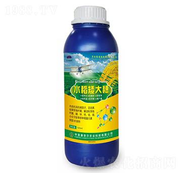 ˮ��������-�����S-���Π�