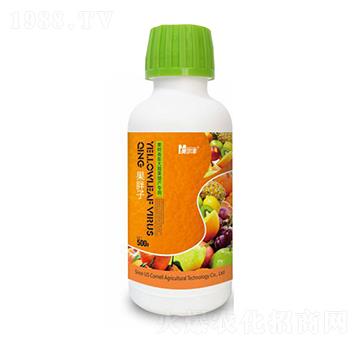 ���������n�����a���÷�-������-���Π�