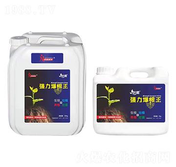 ��(qi��ng)��������-�~��-�s��ֲ��