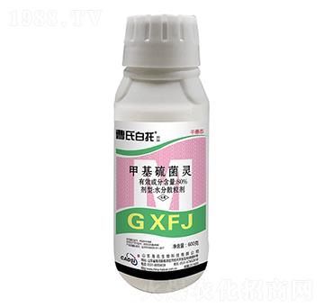 80%�׻�����` ����