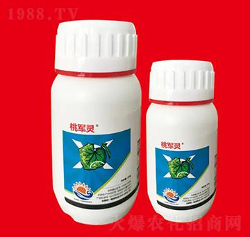 2%����ù�� ��܊�` ��Ƚ���W(xu��)