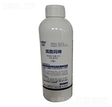 40%ϩ������ �P�G ̩�̻���