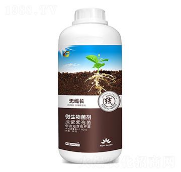 �o(w��)���L(zh��ng) ���ý�