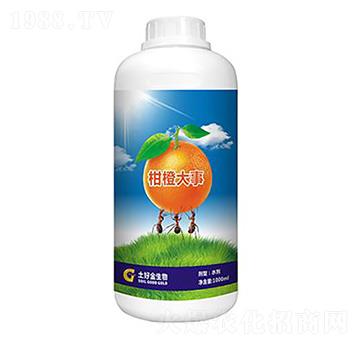 �̳ȴ��� ���ý�