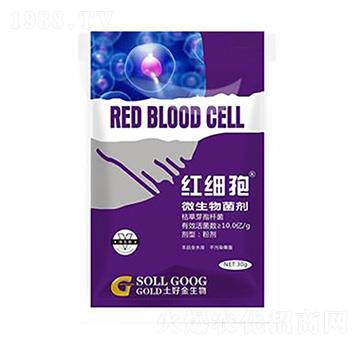 30g΢������� �t���� ���ý�