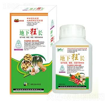 ���K�o���[�o�����o����� ���¿��L(zh��ng) ����