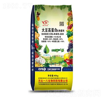 �󶹸ߵ���������� һ������