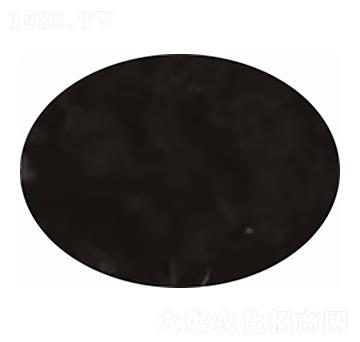 �S�������� ����