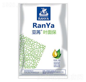 �����~�汣 ���ۇ��H