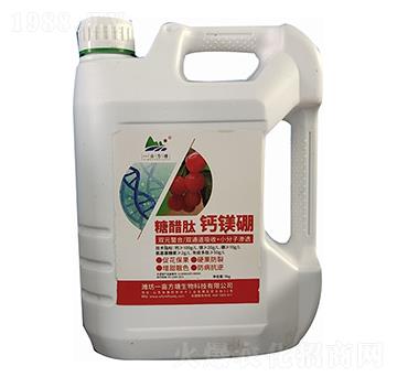 �Ǵ����}�V�𣨰�Ͱ�� һ������