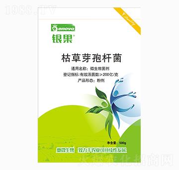 �ݲ�ѿ�ߗU��-�y��-��΢����