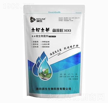 �ͺ�΢�������-������300-��������