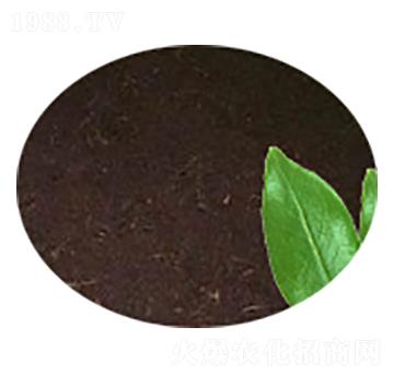 ����-�Gɫ��@