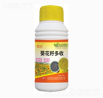 �����Ѷ���-�����r(n��ng)��