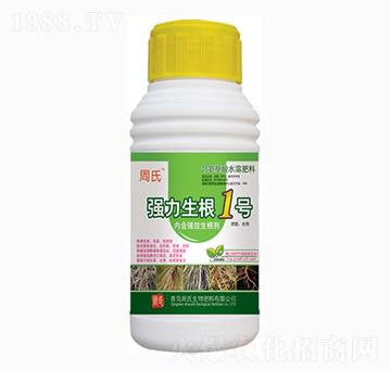 ��������1̖-�����r��