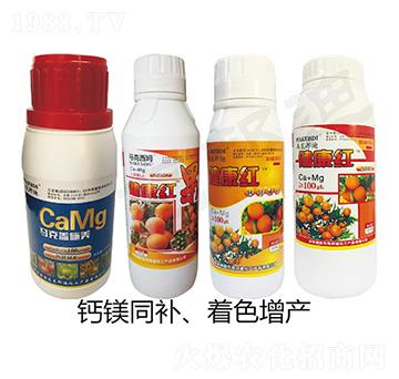 �����t-�R�˰��