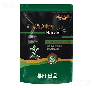 �VԴ�S�����-��������