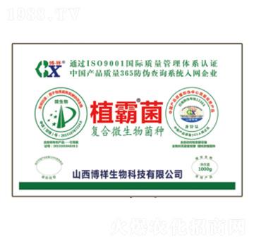 ��(f��)��΢������N-ֲ�Ծ�-��������