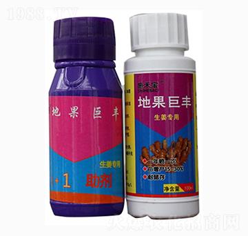 �ع����S���M�ϣ�-ʩ�̌�