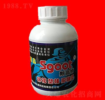 �޻���֦�����` ˹���� ���R�ʘI(y��)