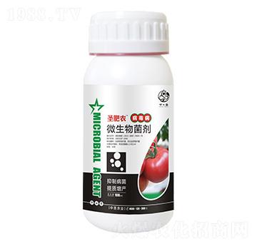 ƿ�b����������΢�������-ʥ���r(n��ng)-��ʥ�r(n��ng)�I(y��)