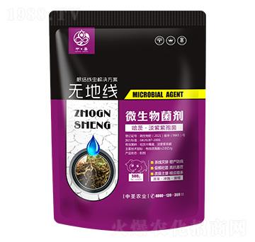 ���ġ��������߾�-�o(w��)�ؾ�-��ʥ�r(n��ng)�I(y��)