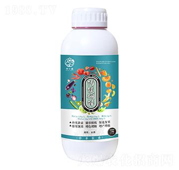 �}�V���\-��ʥ�r�I(y��)