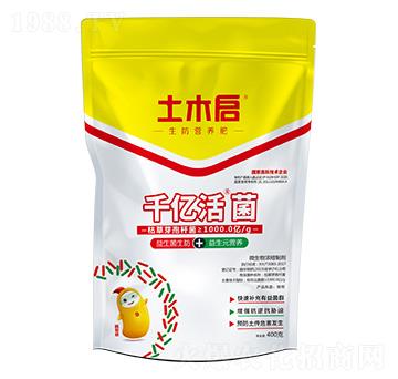 ǧ�|��� ��ľ������