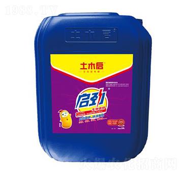 ���� ��ľ������