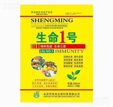 ����1̖(h��o)-�A������