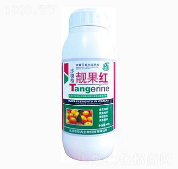 ɰ�����n���t-�A������