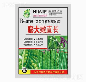 �����ֱ�L-�A������