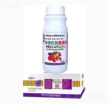 ���P�����n����-�A������