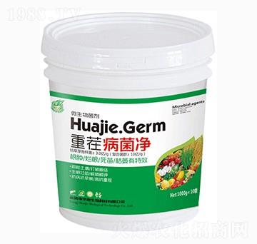 �ز粡������Ͱ��-�A������