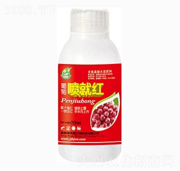 ���ч��ͼt-�A������