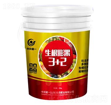 �������3+2Һ�w��-���r(n��ng)��һ