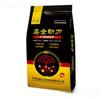 �������� ���W����