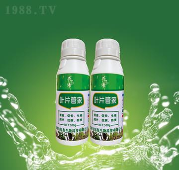 �~Ƭ�ܼ�-��ͮ����