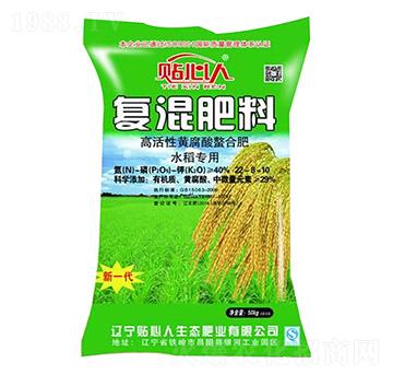 ��(f��)�����22-8-10 �N����